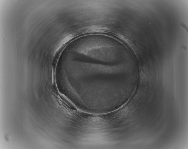 X0000101971219200807251203