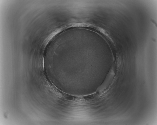 X0000101971221200807251203