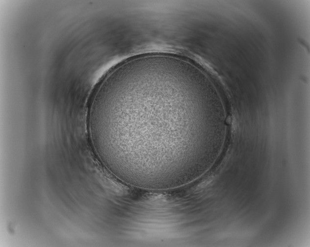X0000101971222200807251203
