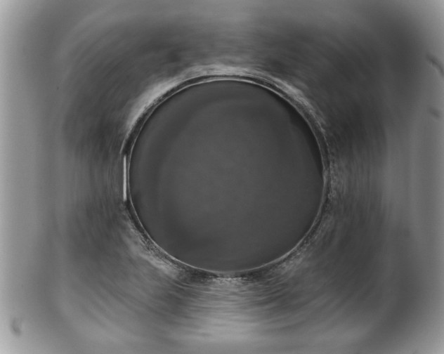 X0000101971223200807251204