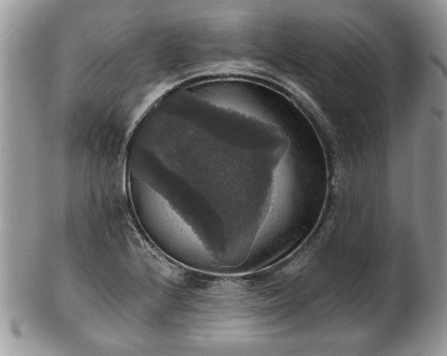 X0000101971224200807251204