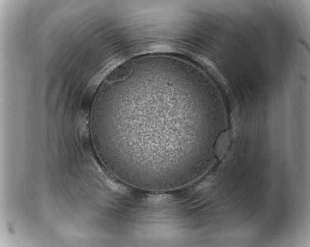 X0000101971225200807251204
