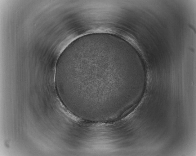 X0000101971228200807251204