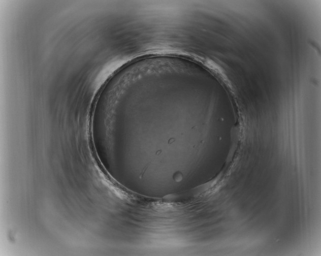 X0000101971231200807251204