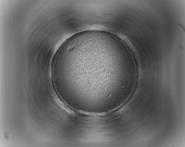 X0000101971232200807251204