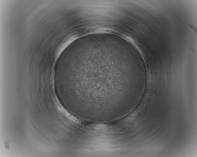 X0000101971235200807251204