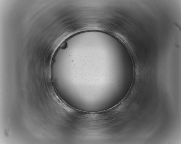 X0000101971236200807251204