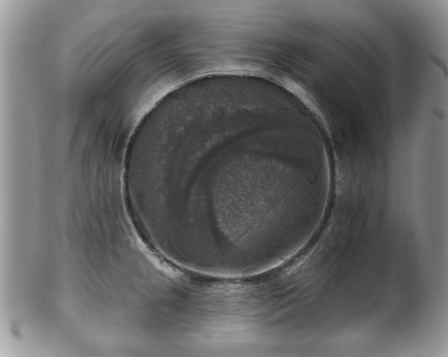X0000101971237200807251204