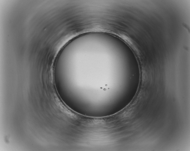 X0000101971238200807251204