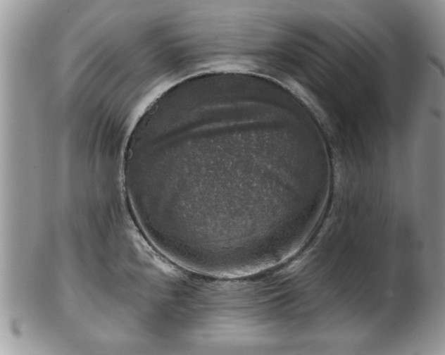 X0000101971240200807251204