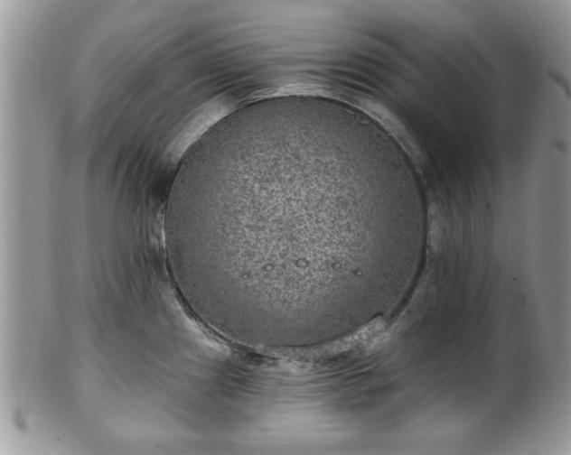 X0000101971241200807251204