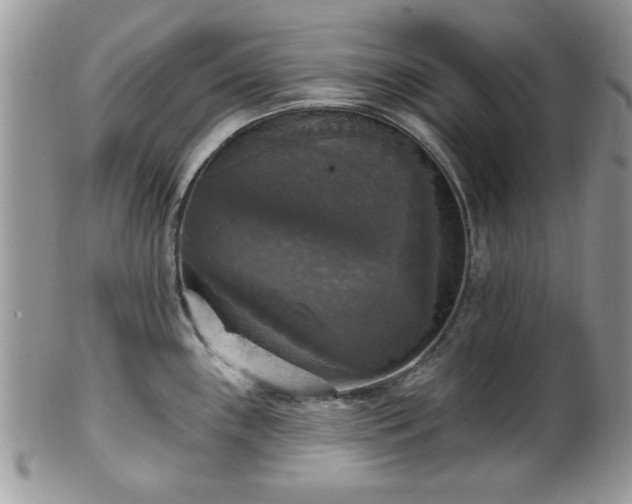 X0000101971243200807251204
