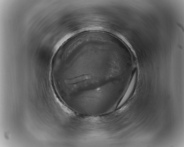 X0000101971245200807251204