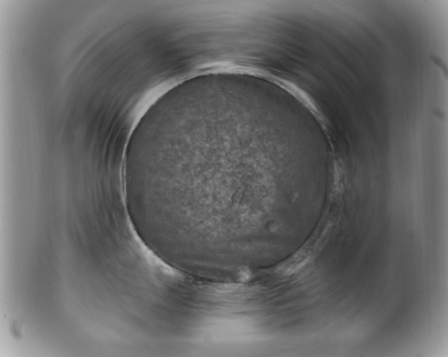 X0000101971247200807251204