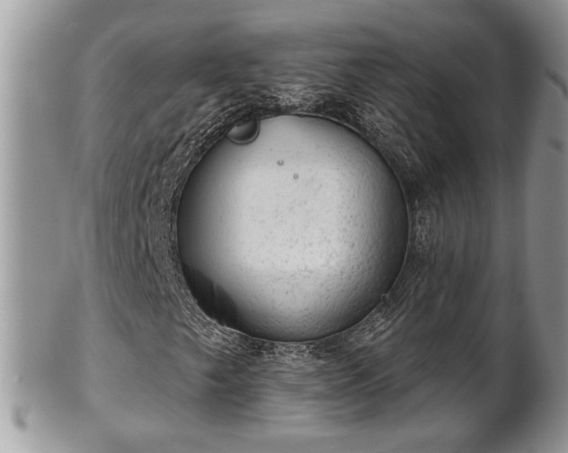 X0000101971249200807251203