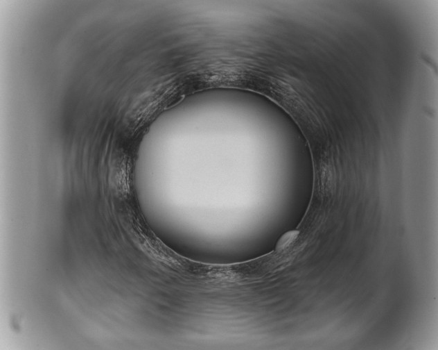 X0000101971250200807251203