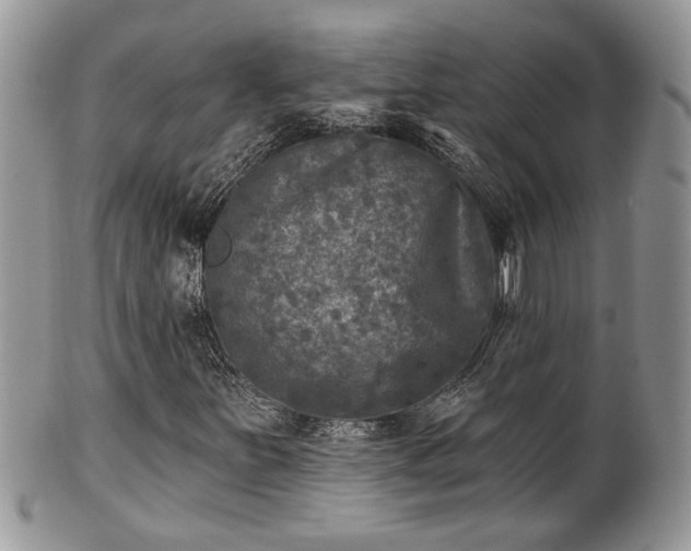 X0000101971251200807251203