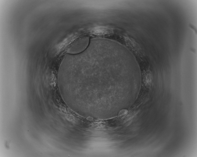 X0000101971253200807251203