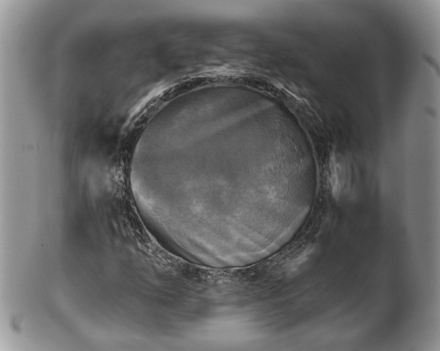 X0000101971254200807251203