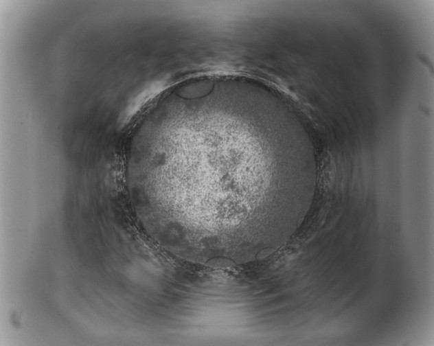 X0000101971255200807251203
