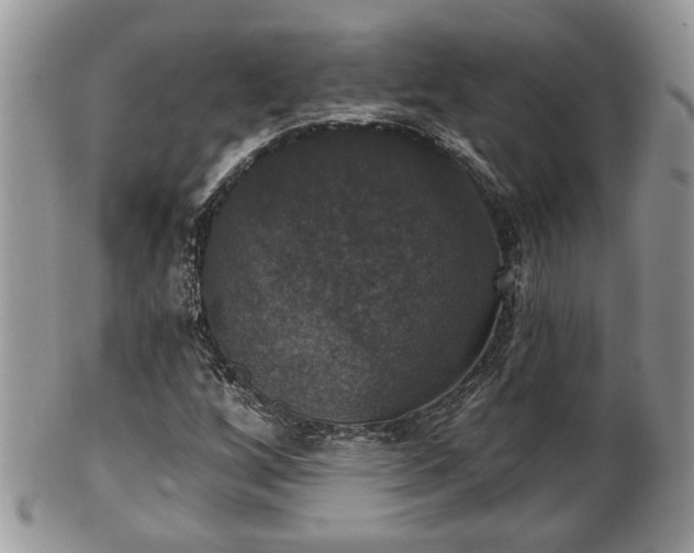 X0000101971256200807251203