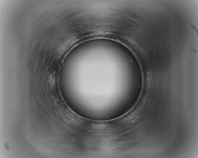 X0000101971257200807251203