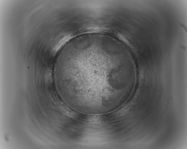 X0000101971259200807251203