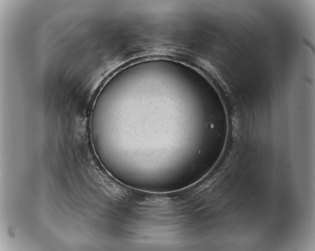 X0000101971260200807251203
