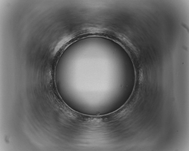 X0000101971261200807251203