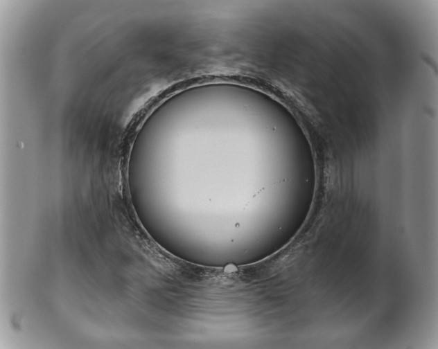 X0000101971262200807251203