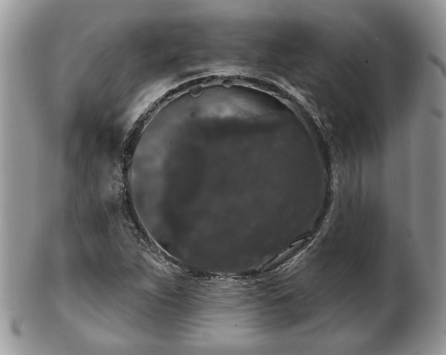 X0000101971263200807251203