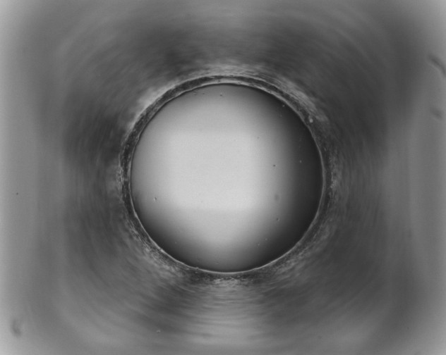 X0000101971264200807251203