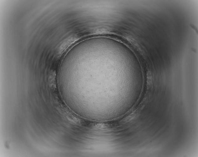 X0000101971265200807251203