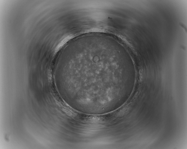 X0000101971266200807251203