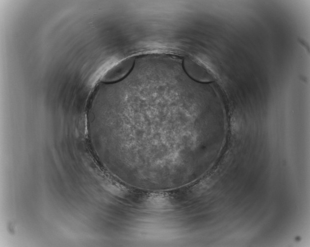 X0000101971267200807251203