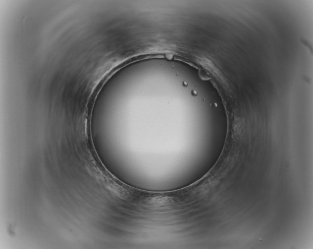 X0000101971268200807251203