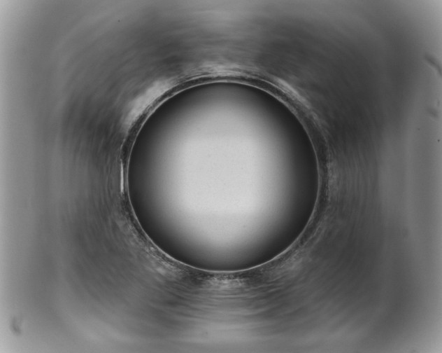 X0000101971269200807251203