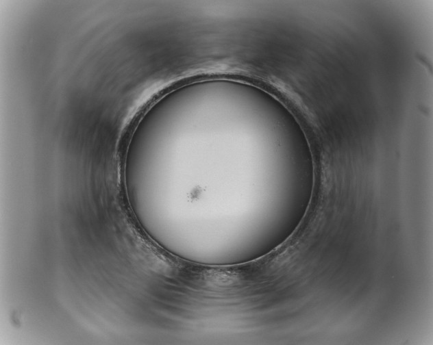 X0000101971270200807251203