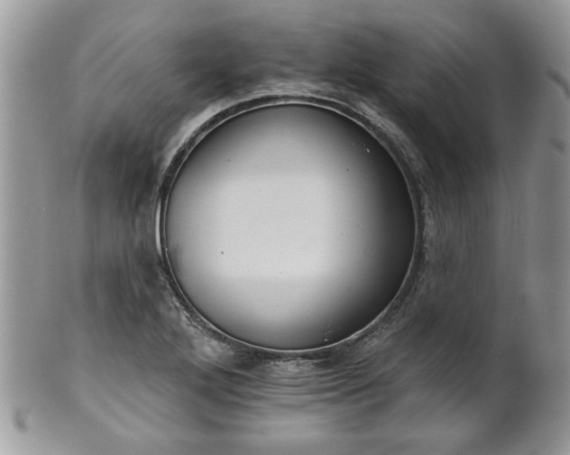 X0000101971272200807251203