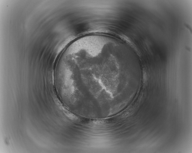 X0000101971274200807251203