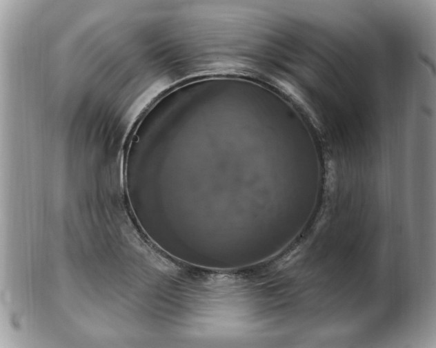 X0000101971275200807251203