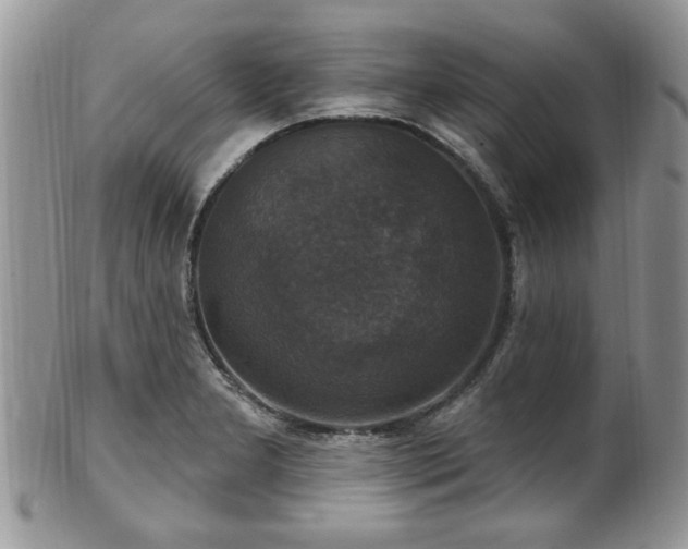 X0000101971277200807251203