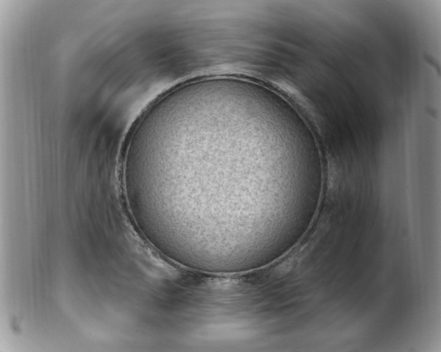 X0000101971278200807251203