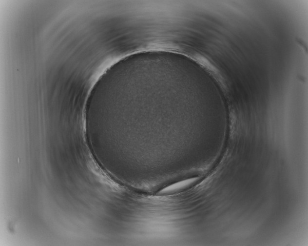X0000101971280200807251203