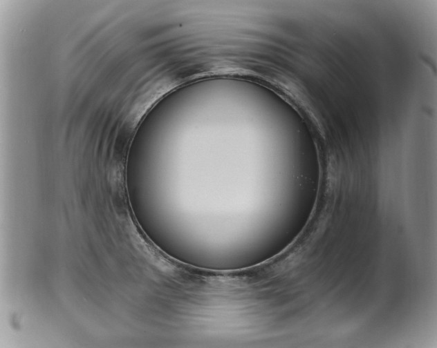 X0000101971281200807251203