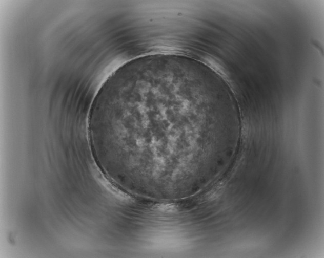 X0000101971283200807251203