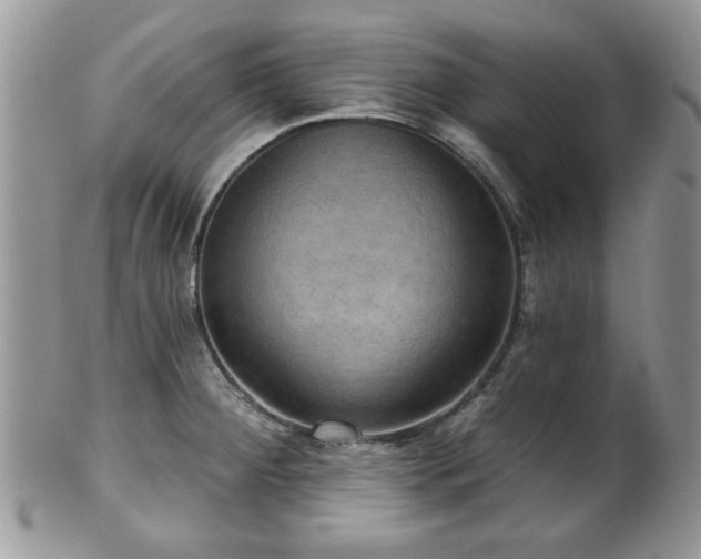X0000101971284200807251203