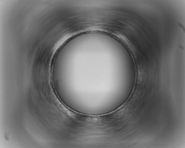 X0000101971286200807251203