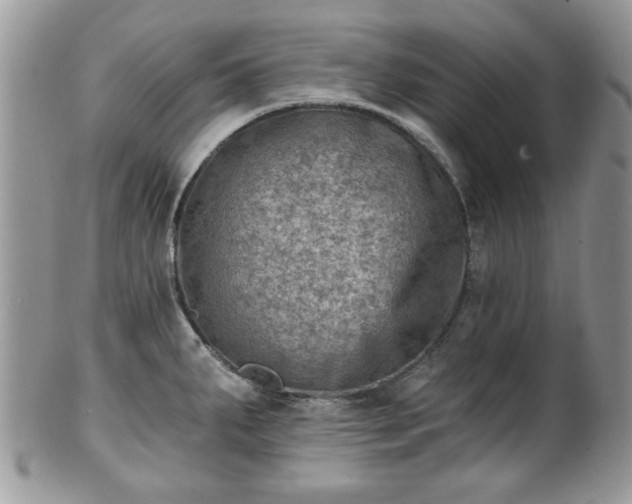 X0000101971287200807251203