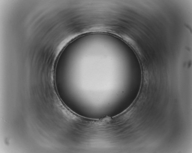X0000101971288200807251203